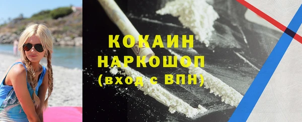 амф Богданович