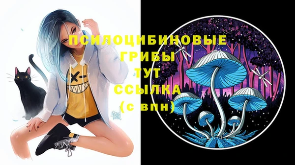 соль ск Богородицк