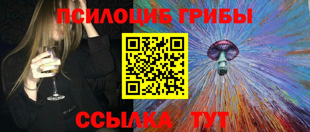 Воскресенск  как найти   Вход с VPN  Псилоцибиновые грибы Psilocybe 