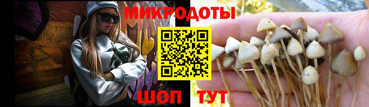 Псилоцибиновые грибы Psilocybine cubensis Воскресенск